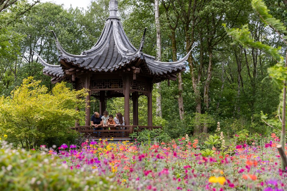 People sitting inside a traditional Chinese-style pavilion, framed by bright wildflowers in the foreground and tall trees in a woodland garden.