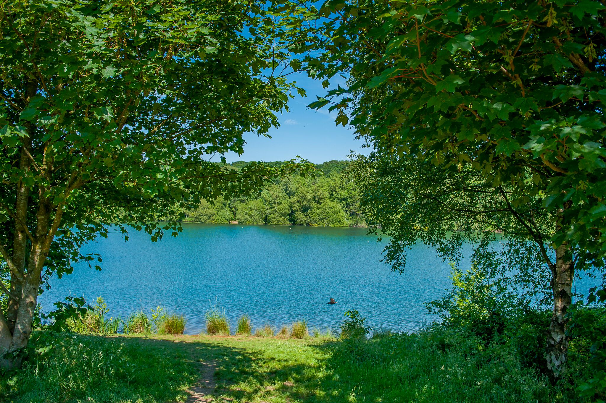 The lake in Clifton Country Park