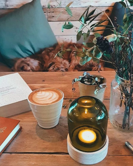 An image of a table with a cappuccino, menu, candle and plant on