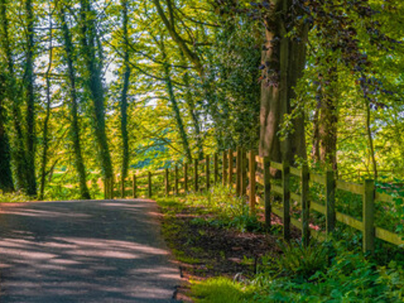 Worsley Woods