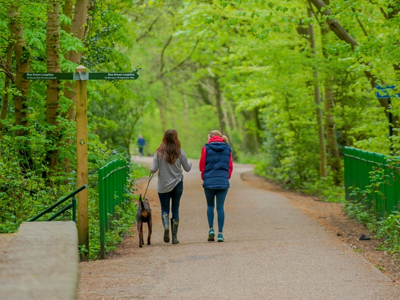 Monton Loopline