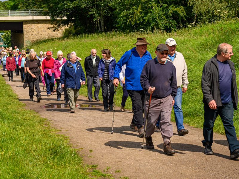 Group walking