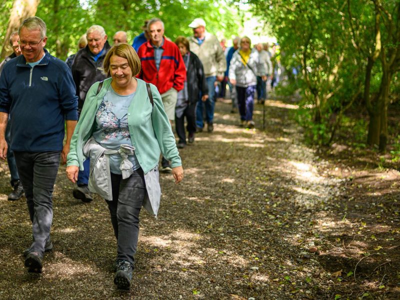 Mixed group walking