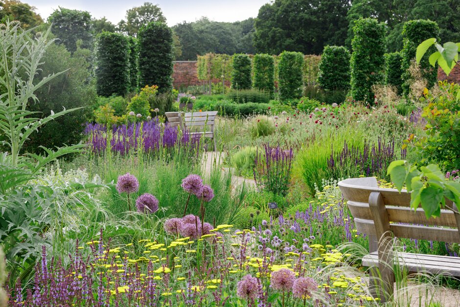 Wooden benches beside a winding path, surrounded by lush green planting and purple and yellow flowers in a landscaped garden.